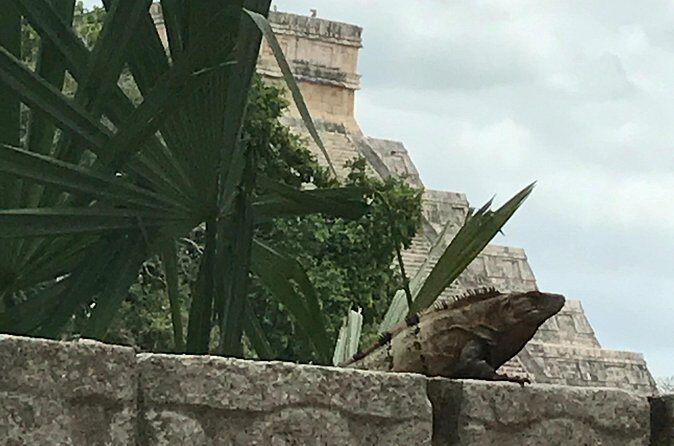 Chichen Itza Private experience - Price and value: is $341.38 per person fair?